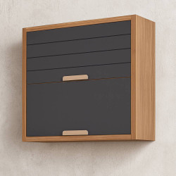 Aereo Eloise 80cm Basculante 2 Portas - Freijó/Titanium 