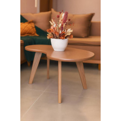 Mesa de Centro Organica - Terracota Mesa de Centro Organica - Terracota