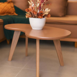 Mesa de Centro Organica - Terracota